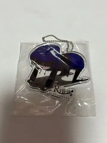 R지정 마모 아크릴 키링
