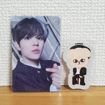 Stray Kids EXHIBITION 구매 혜택 트레이딩 카드 승민