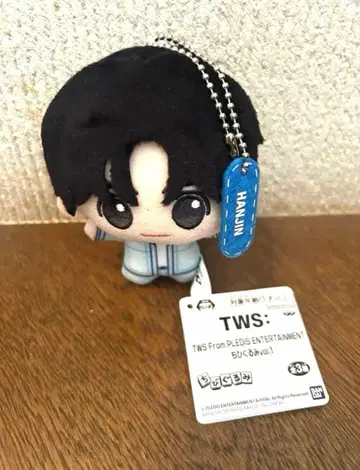 TWS 투아스 SD 인형 vol.1 HANJIN 한진