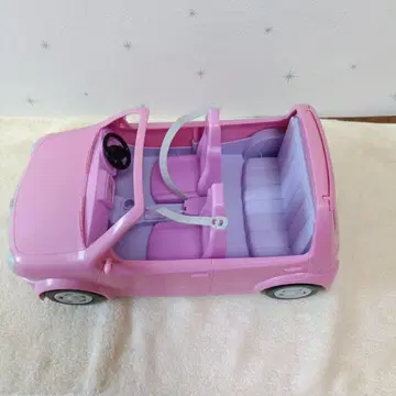 리카짱 패밀리카 핑크색