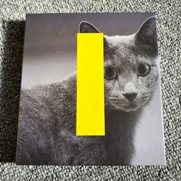 super junior 희철 this is love 한국반 CD