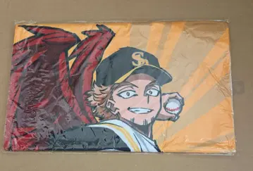 히로아카 HAWKS 후쿠오카 소프트뱅크 호크스 페이스 타월 미개봉 새상품