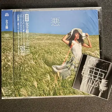 여왕벌 앨범 악 CD