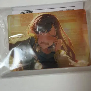 프로세카 노블 아트 시라이시 안