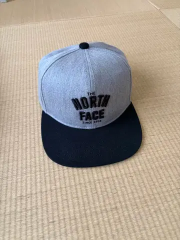 THE NORTH FACE 그레이 블랙 캡