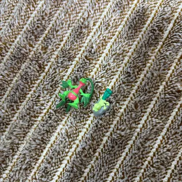 입체 포켓몬 도감 키모리 주토로