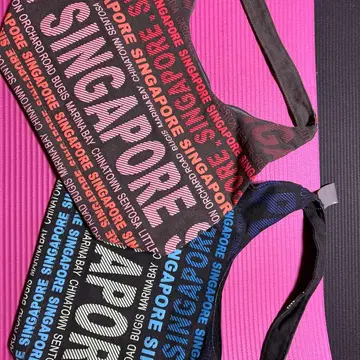 SINGAPORE 로고 백팩