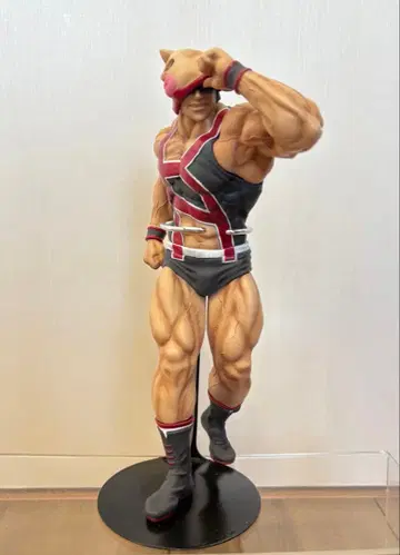 CCP CMC NO.EX 근육맨 페이스 플래시 원작 컬러