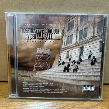 TOGETHER WE CONQUER DIVIDED WE FALL