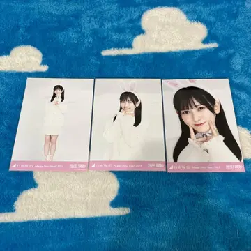 노기자카46 브로마이드 이케다 에이사 컴프 간지 토끼 2023