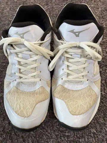 미즈노 트레이닝 슈즈 26cm