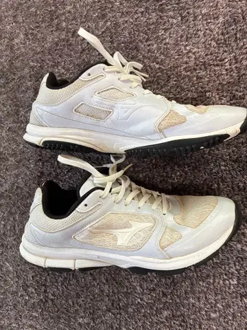 야구 트레이닝 슈즈 미즈노 26cm