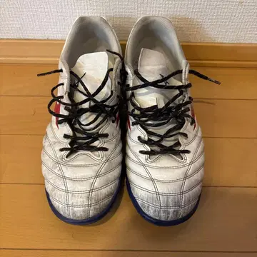 Mizuno 트레이닝 슈즈 28.5 중창 없음