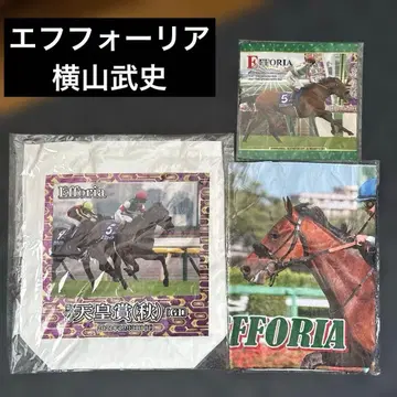 에프포리아 요코야마 타케시 토트백 타월