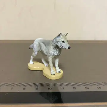 주간 일본 천연기념물 일본늑대 (화이트 울프)