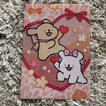 몰치즈 A4 클리어 파일