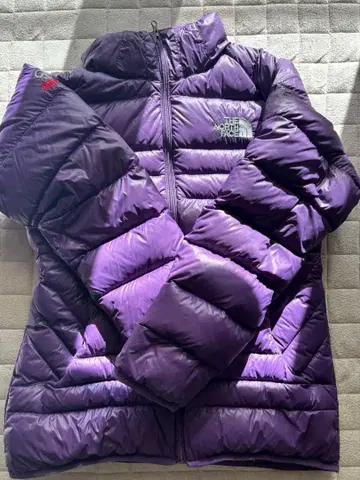 THE NORTH FACE SUMMIT SERIES 다운 자켓 M