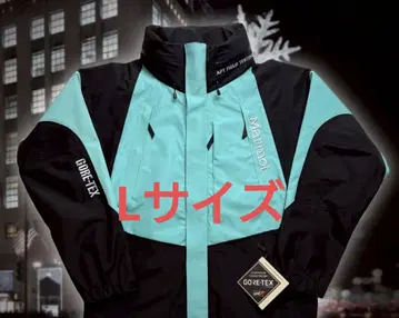 STABRIDGE x Marmot Gore-Tex 3L Alpinist