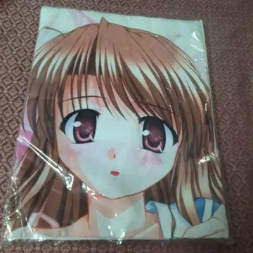 후지 에다 호나미 침대 시트