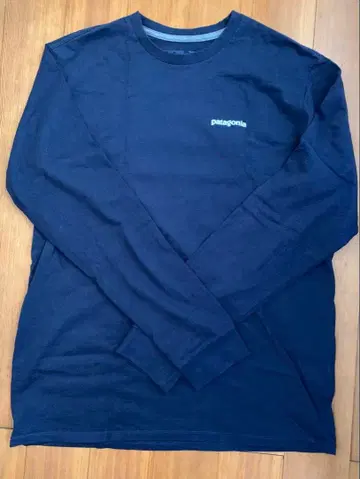 patagonia 롱 T