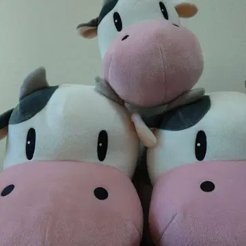 목장 이야기 소 봉제 인형 3개 세트