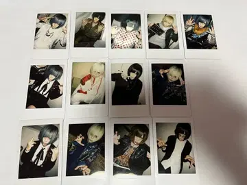 R 지정 마모 폴라로이드 13장