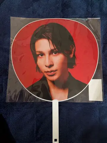 라울 점보 부채 DOMETOUR 2025-2026 ON