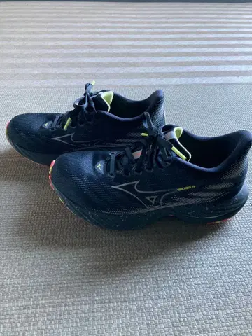 미즈노 러닝화 웨이브 라이더28 25.5cm