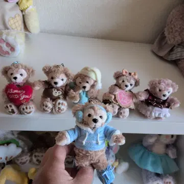 더피 셰리 메이