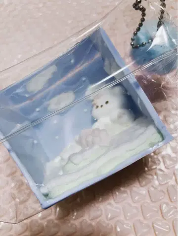 스퀴즈 클리어 토끼