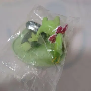 비넷 필드 2 메가니움+베이스 포켓몬