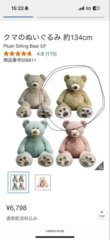 특대형 곰 봉제 인형 코스트코