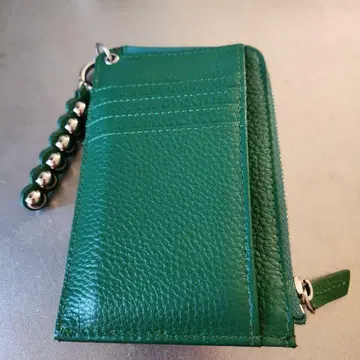 이아 파피용 프래그먼트 케이스