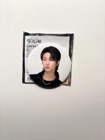 SEVENTEEN FOLLOW 캔뱃지 명호 THE8