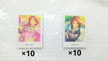 앙스타 파샤츠 6 vol.6 이사라 마오