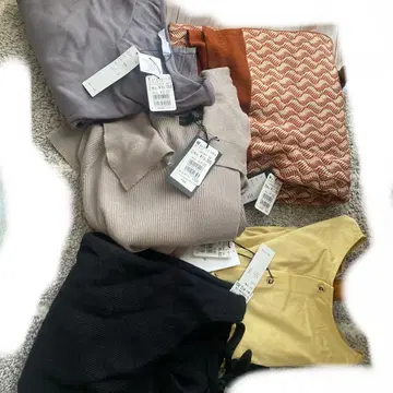 스콧 클럽 계열 정리