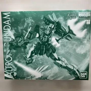 MG 1/100 알트롱 건담 EW