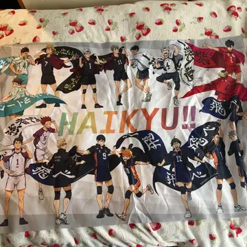 하이큐!! 태피스트리