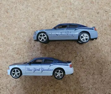 뉴욕 양키스 미니카