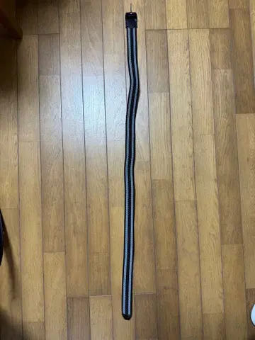 타미힐피거 벨트