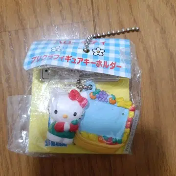 헬로키티 후르츠 디자인 키링