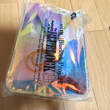 블루 록 블루 록 클리어 사코슈 가방