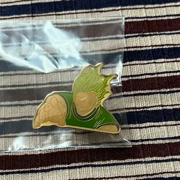 H x H 히소카 핀즈