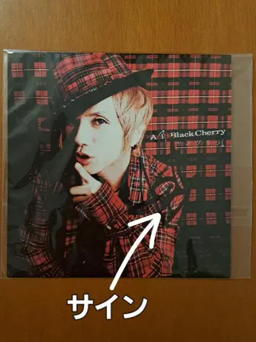 Acid Black Cherry 친필 사인 포함 어나더 자켓