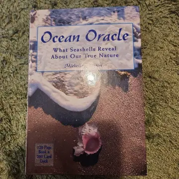 Ocean Oracle