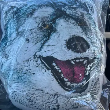 제일복권 MAN WITH A MISSION G상 페이스 쿠션