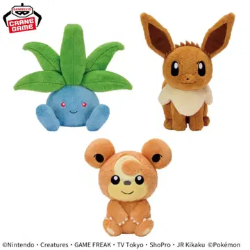 포켓몬 다정한 마음 봉제 인형 나조노쿠사(이브이)