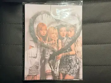 Haze KATY 카티 폴라로이드 북