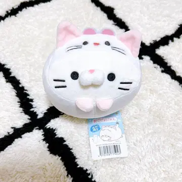 모찌후와! 코로코로냥코 신슈 한정판 오코죠냥