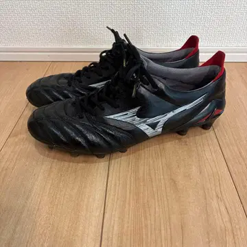 모렐리아 네오 4